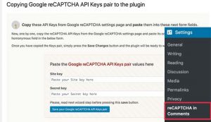 reCaptcha plugin settings page