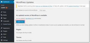 update wordpress tự động